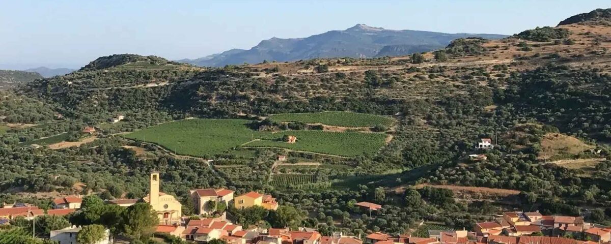 Comune di Modolo