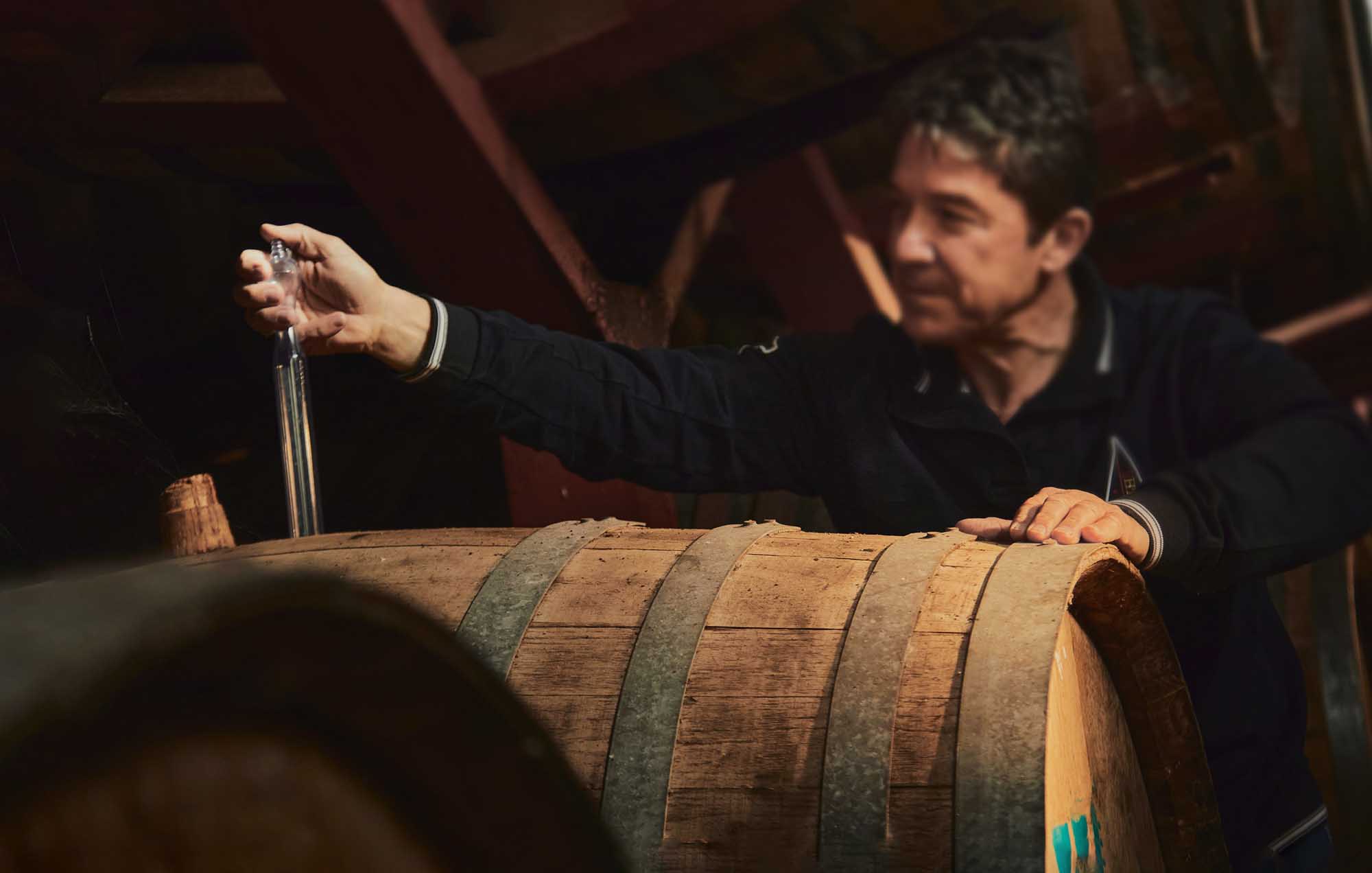I sentieri del vino