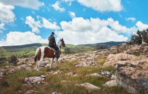 Il territorio del Montiferru Alto Campidano e Planargia